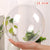 200mm Large Transparent ball Christmas decorations