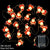 Snow Flake Led Fairy Lighss