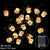Snow Flake Led Fairy Lighss