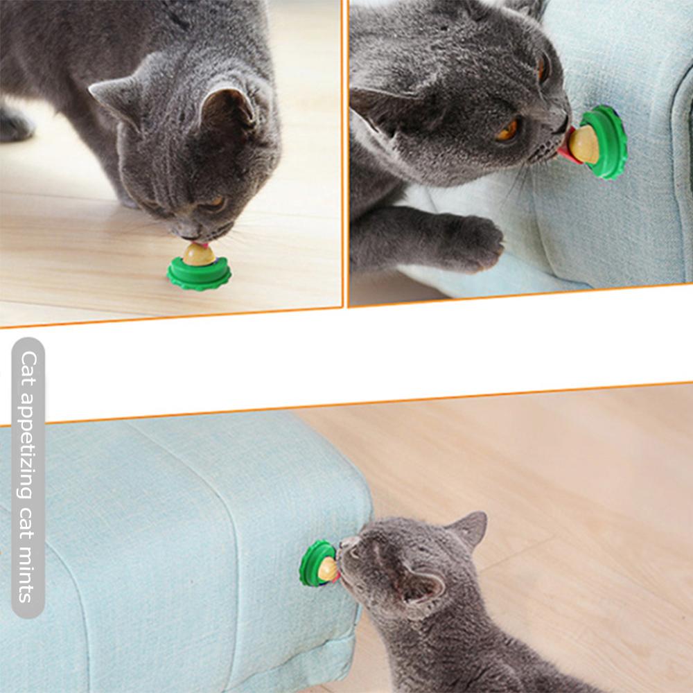 Healthy Cat Catnip Snacks Licking Candy