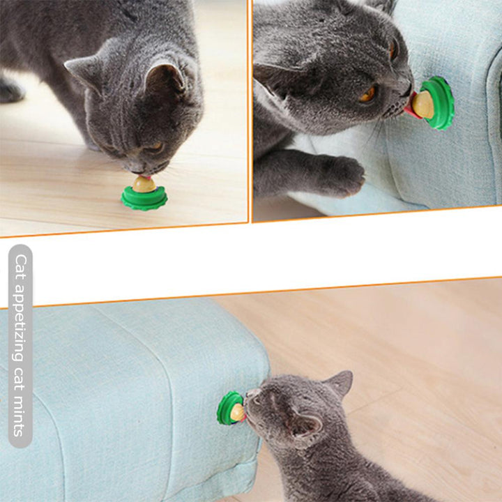 Healthy Cat Catnip Snacks Licking Candy