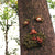 Tree Faces Decor Pipe Smoker Tree Sculpture Garden Decorations Outdoor Easter Jardineria Decoracion