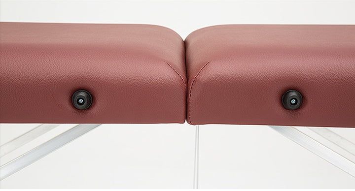 Professional Portable Spa Massage Tables with Bag
