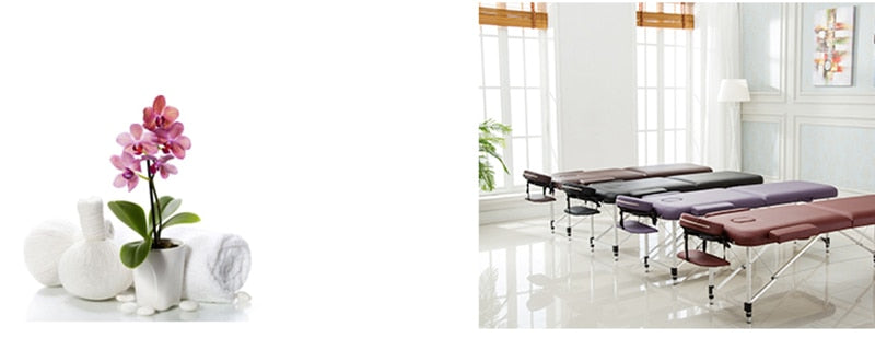 Professional Portable Spa Massage Tables with Bag