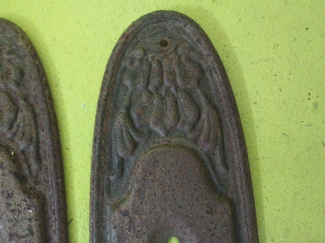 Ornate Plate with Lever Handle