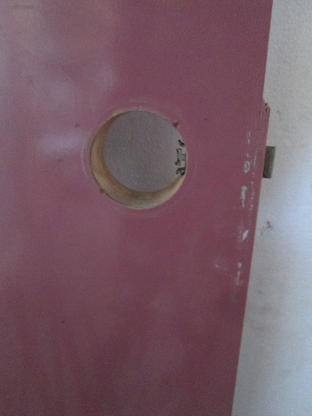 Purple Hollow Core Door 1980H x 610W x 35D