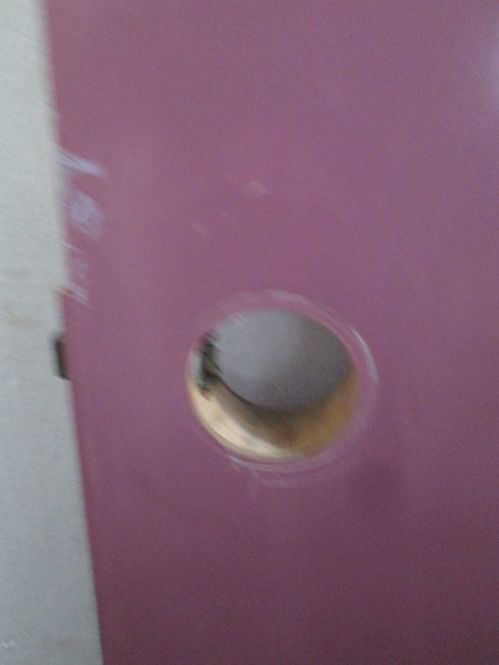 Purple Hollow Core Door 1980H x 610W x 35D
