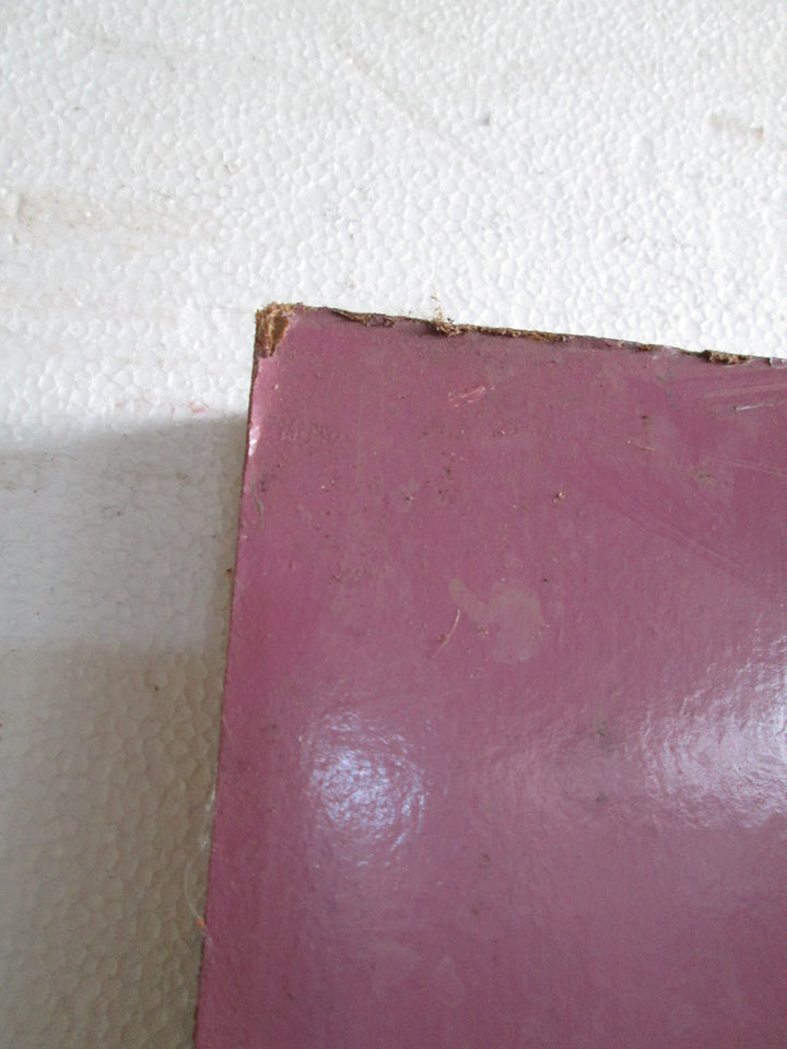 Purple Hollow Core Door 1980H x 610W x 35D
