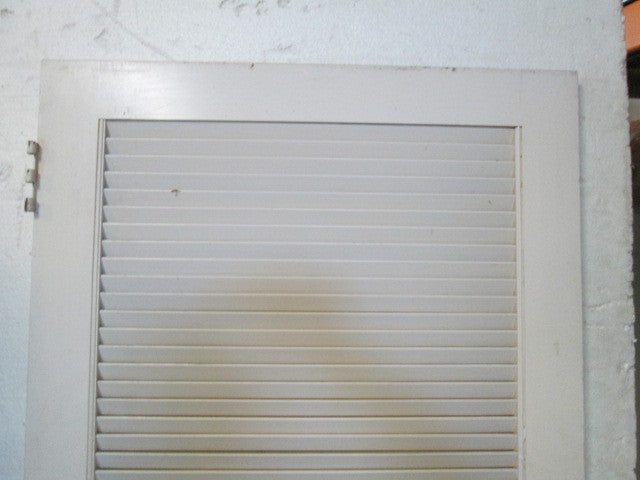 Paint Finish Panel & Louvre Door 1980H x 810W x 30D