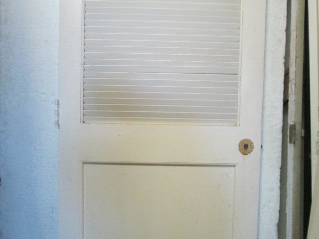 Paint Finish Panel & Louvre Door 1980H x 810W x 30D