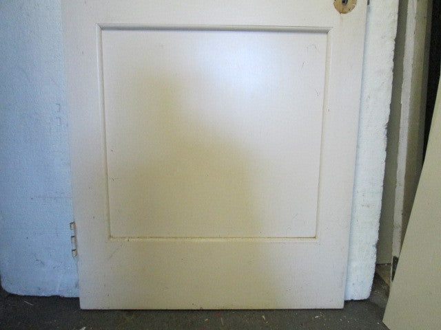 Paint Finish Panel & Louvre Door 1980H x 810W x 30D