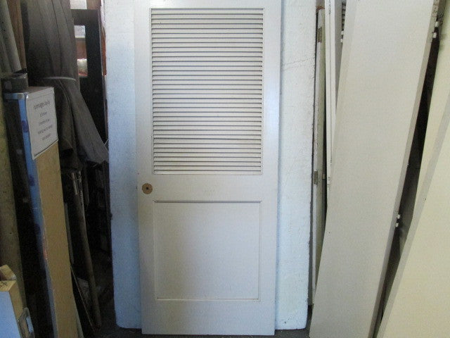 Paint Finish Panel & Louvre Door 1980H x 810W x 30D