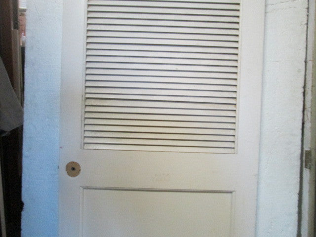 Paint Finish Panel & Louvre Door 1980H x 810W x 30D