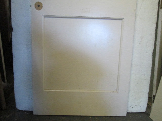 Paint Finish Panel & Louvre Door 1980H x 810W x 30D