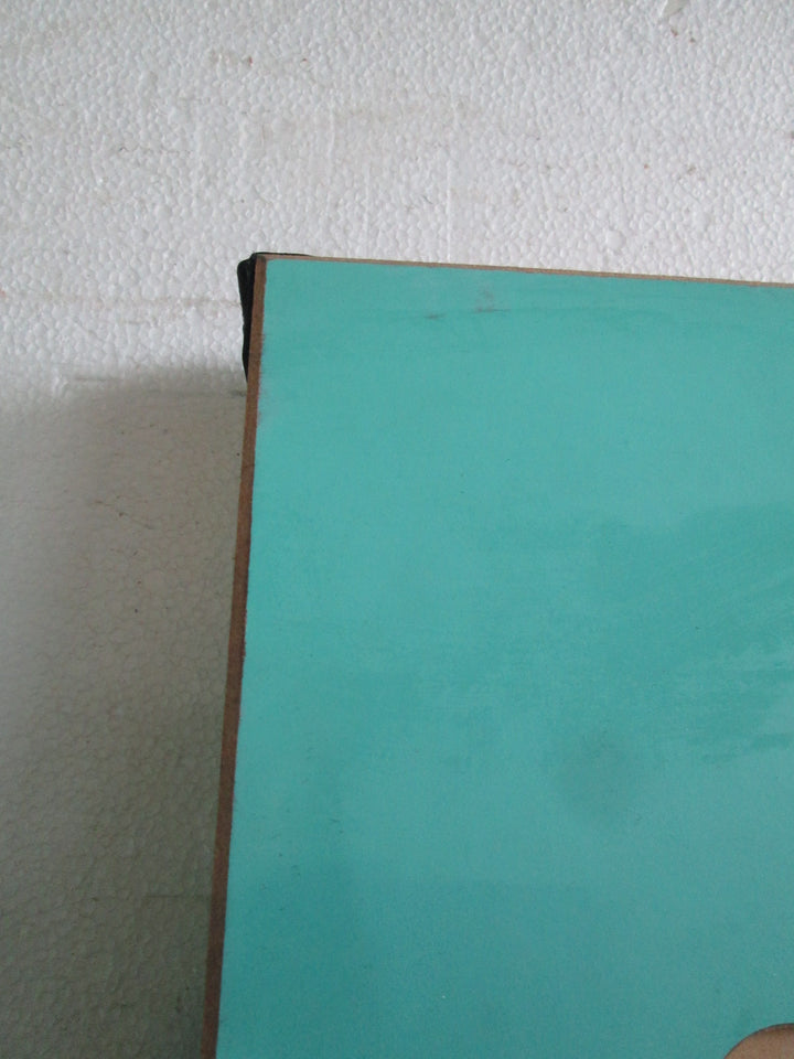 Sea Green 1 Lite  Internal Door with 2 x Side Lites 1980H x 810W x 40D/Side Lites 1980H x 400W x 40D