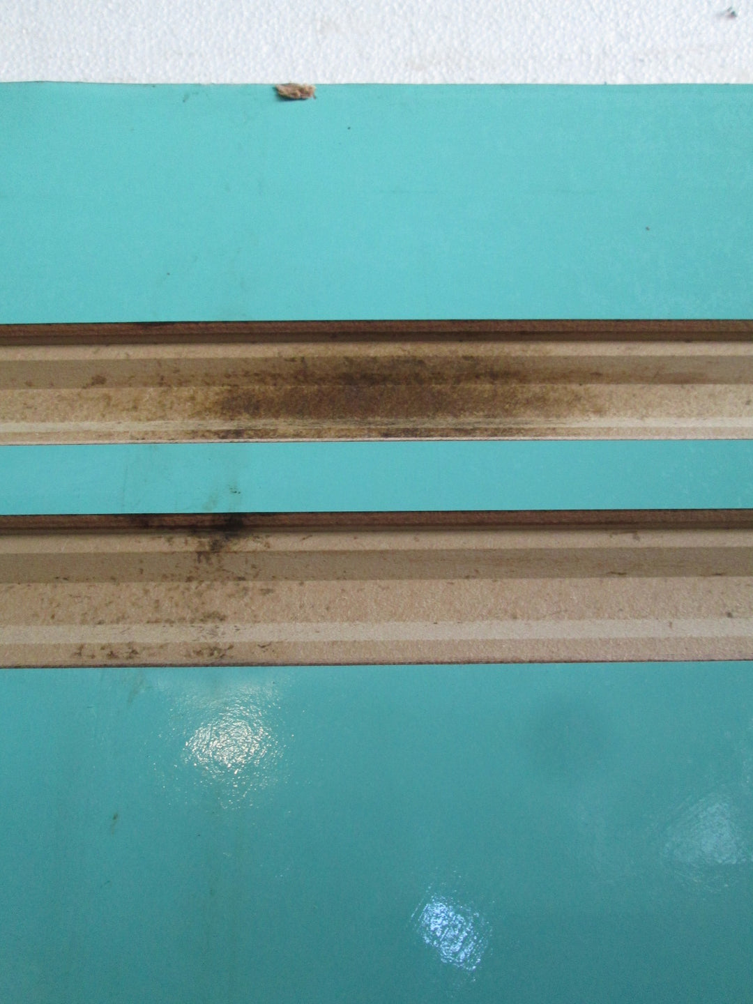Sea Green Moulded Panel Door and  2 x Side Lites 1980H x 860W  x 40D/ 1980L  x 400W x 40D