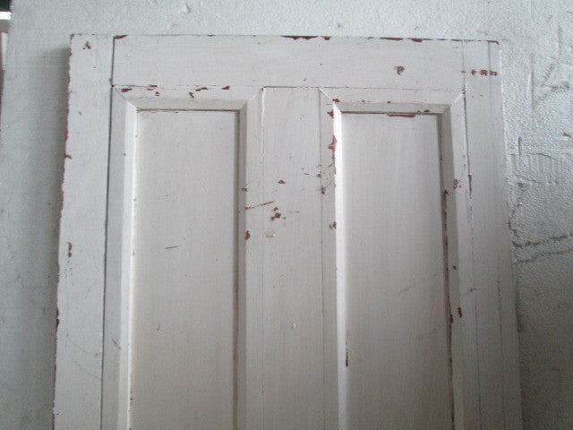 Statesman Paint Finish Door(1990H x 810W x 45D)