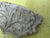 Scottish Thistle Plaque 50H x 80W