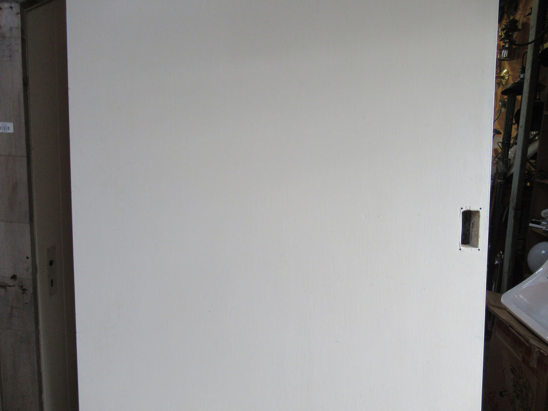 Paint Finish Sliding Hollow Core Door 1970H x 810W x 40D
