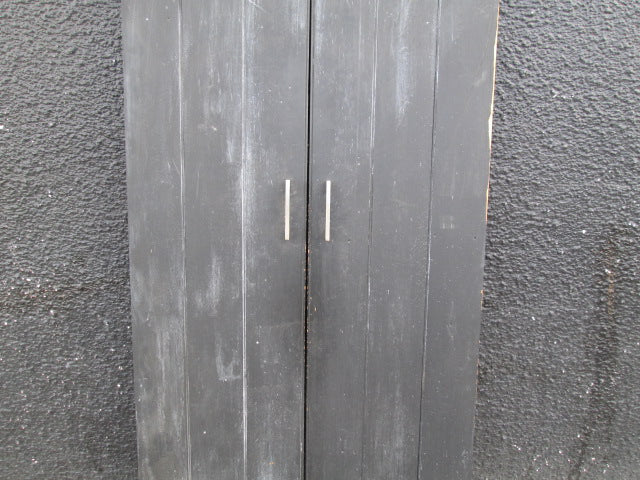 Double Paint Finish Doors(1970H x 810W x 30D)