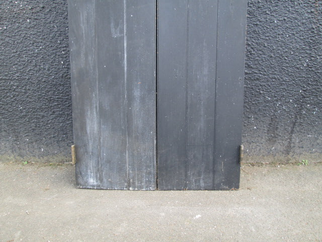 Double Paint Finish Doors(1970H x 810W x 30D)