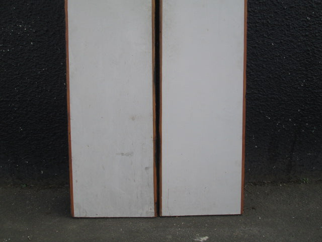 Double Paint Finish Doors(1970H x 810W x 30D)