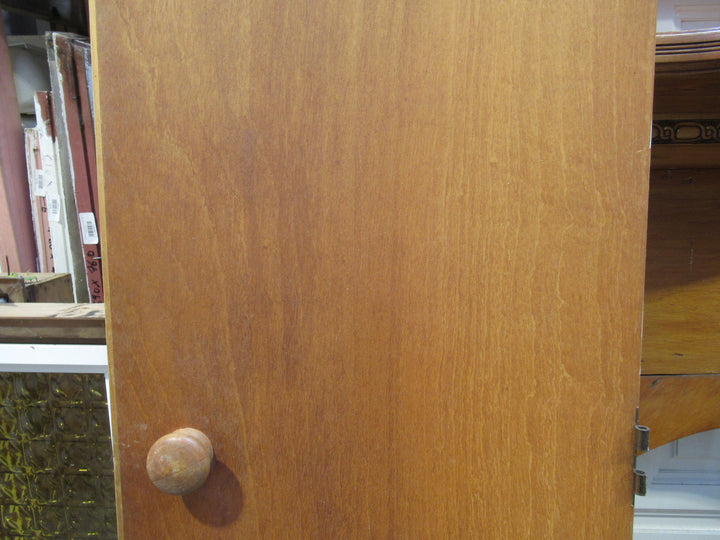 Varnished Hollow Core Cupboard Door 1980H x 460W x 40D