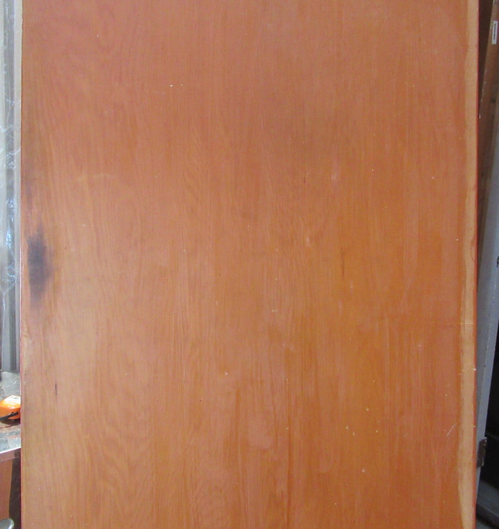 Varnished Hollowcore Sliding Door   810W x 1980H x 40D