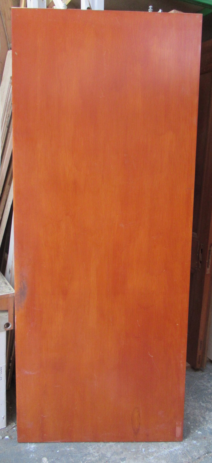 Varnished Hollowcore Sliding Door   810W x 1980H x 40D