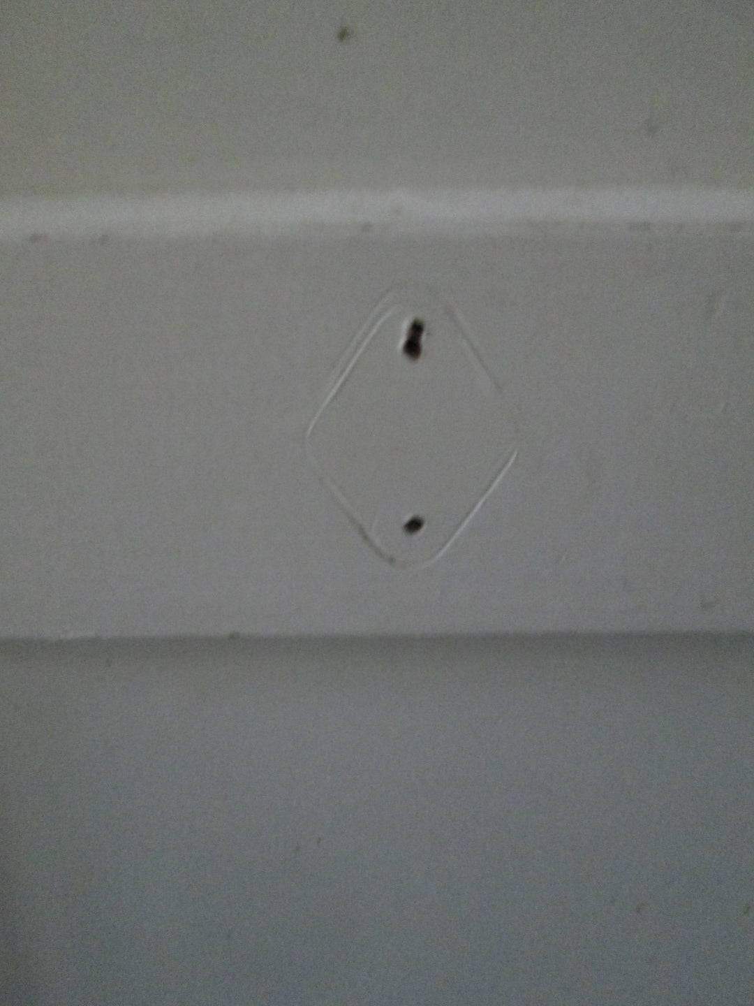 2 Panel Painted Rimu Door  1980H x 760W x 30D