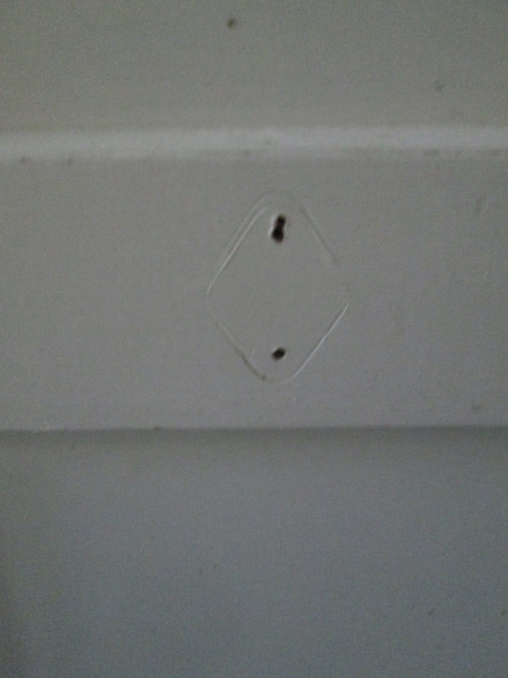 2 Panel Painted Rimu Door  1980H x 760W x 30D