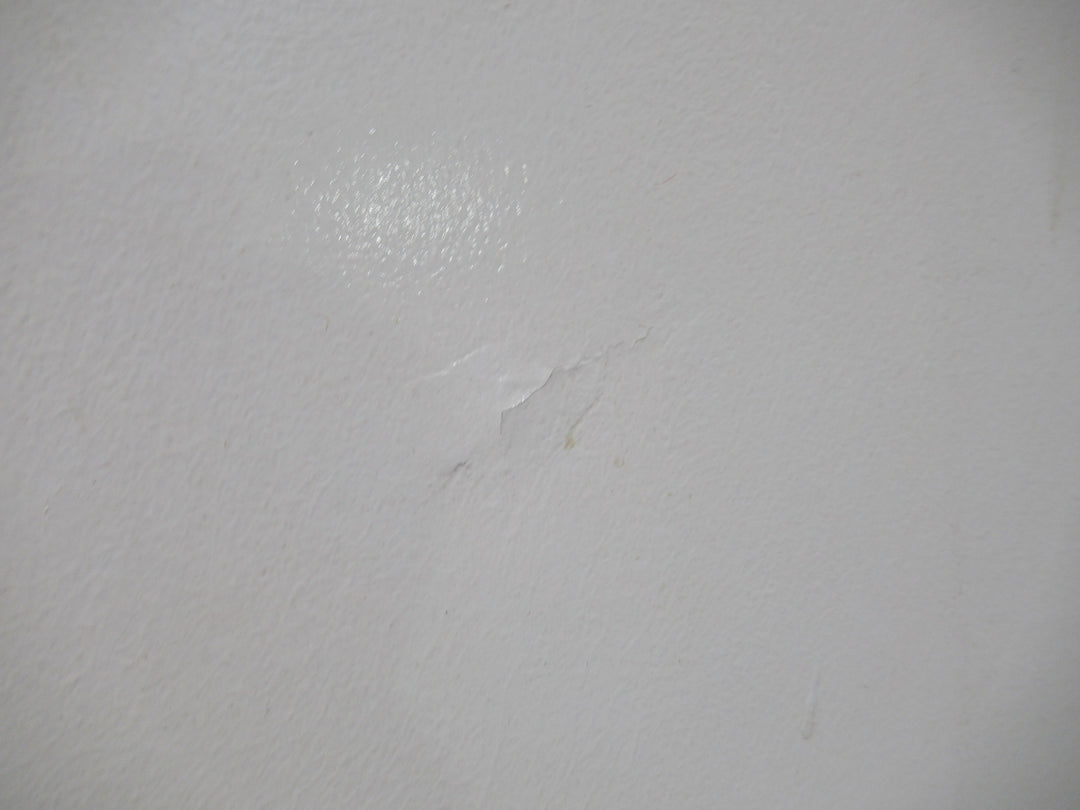 White Painted Hollow Core Door 1975H x 760W x 35D