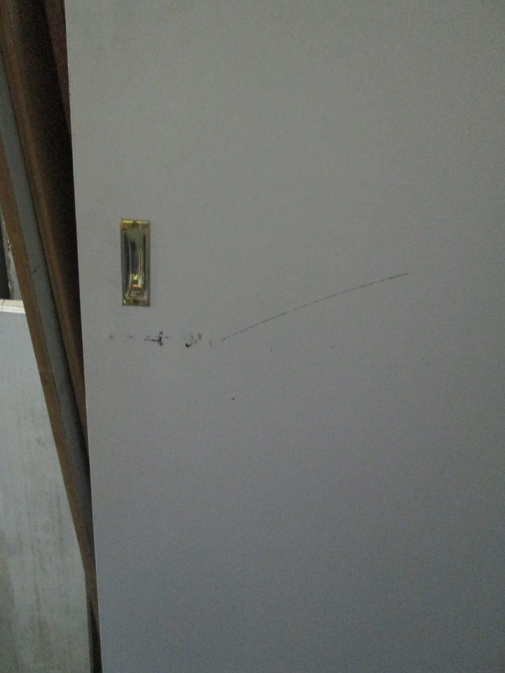 Paint Finish Hollow Core Door 1960H x 810W x 35D