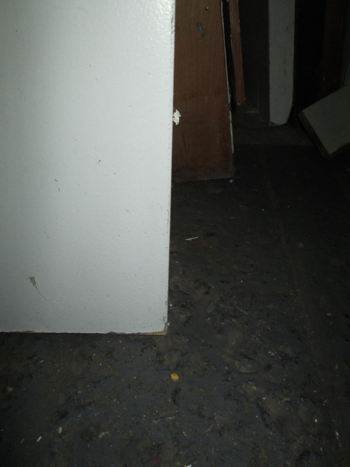 Paint Finish Hollow Core Door 1960H x 810W x 35D