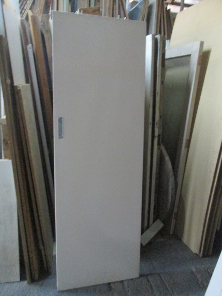 Paint Finish Hollow Core Door