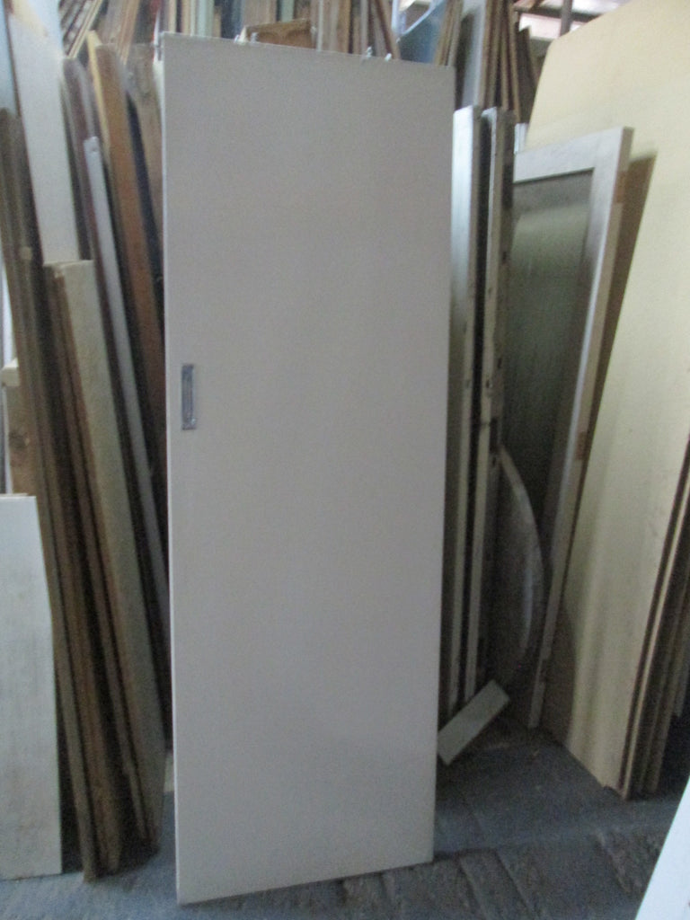 Paint Finish Hollow Core Door