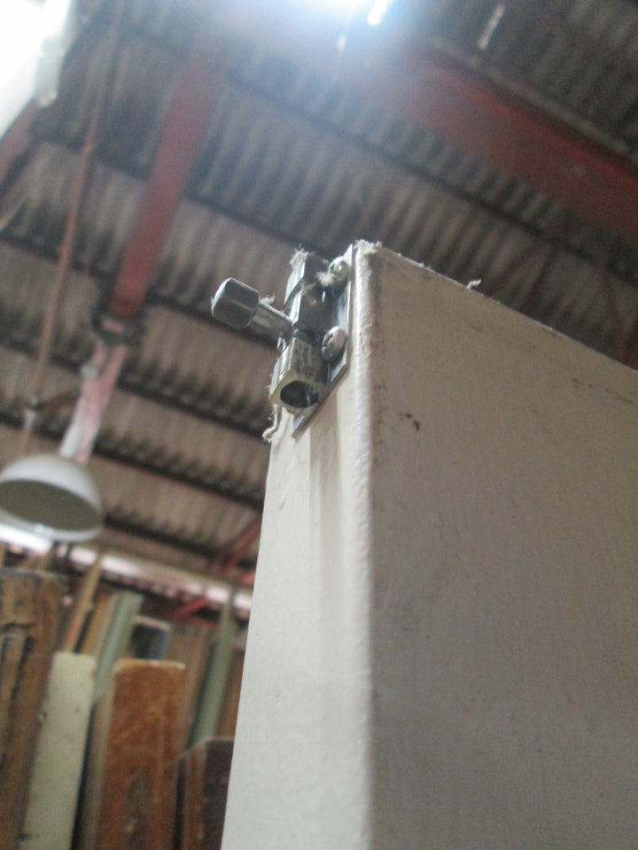 Paint Finish Hollow Core Door