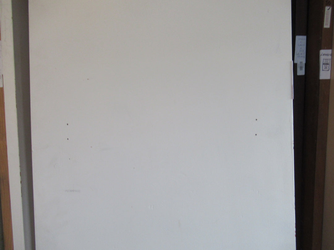 White Hollow core Hall Door   1900H x 600W x 40D