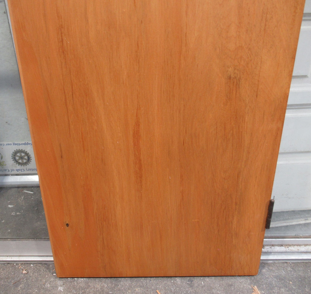 Varnished Hallway/Closet Hollow Core Door   1830H x 610W x 40D