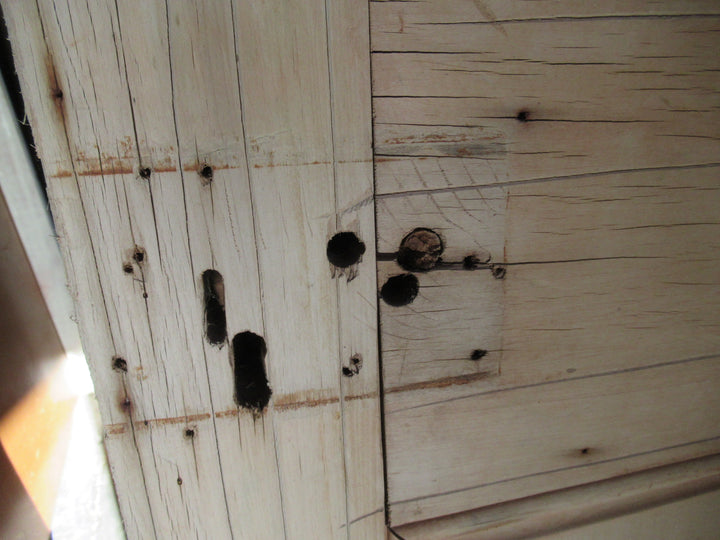 Stripped Statesman Door Needing some Molding   2030H x 810W x 45D