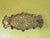 Pressed Brass Sunflower Draw Plate 104L x 47W