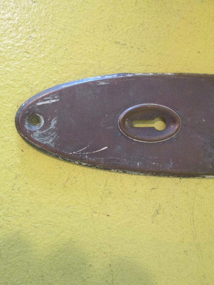 Oval Copper Door Plate 205L x 57W