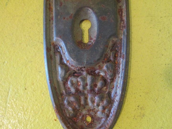 Ornate Oval Press Tin Door Plate 205L x 62W