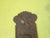 Ornate  Metal Rectangle Door Plate 225L x 60L