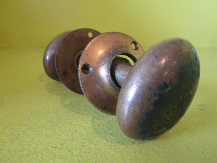 Vintage Solid Brass Oval Knob with Rose Plate 60-50W x 56H /55D