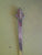 Ornamental Brass Fleur de lis Brass Strap Hinge (78Lx9Wx0.5D)