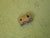Various Hinges(12mmL/28mmL/40mmL/65mmL)