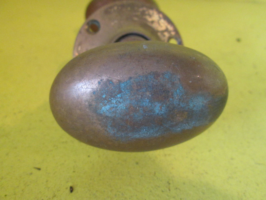 Solid Brass Oval Knob with one Rose/Square Plate 65-45W x 60H