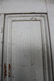 Kauri 1 Panel Door Internal 2030H x 810W