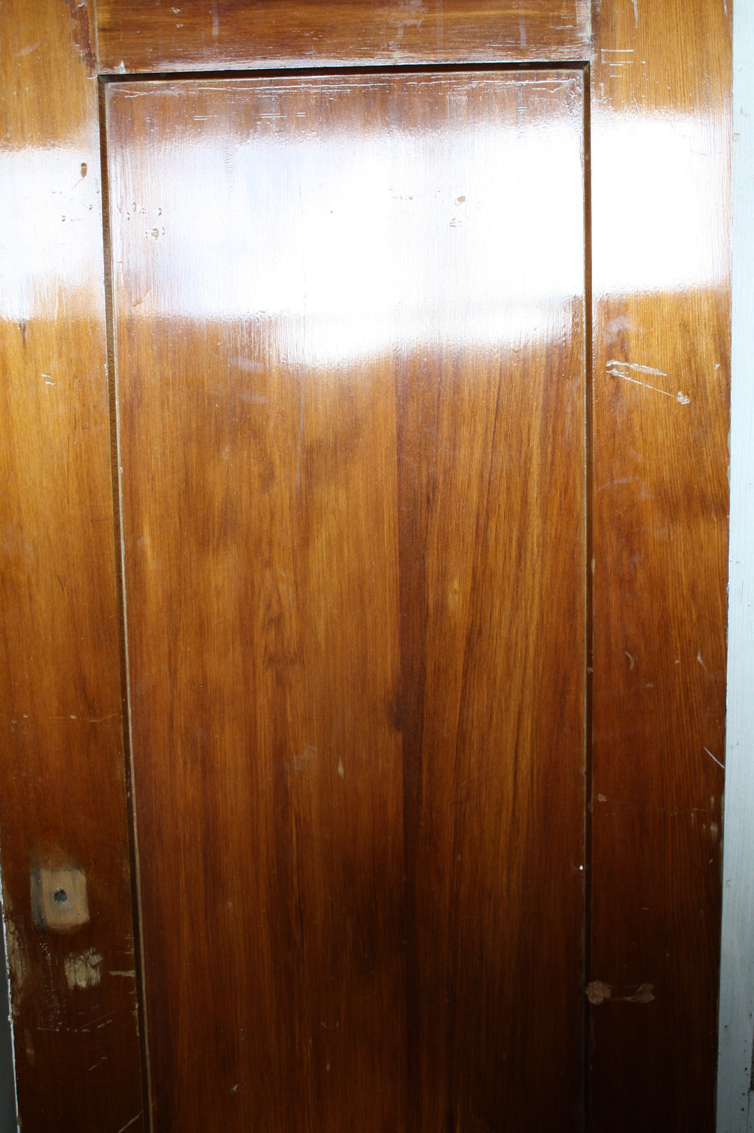 Kauri 1 Panel Door